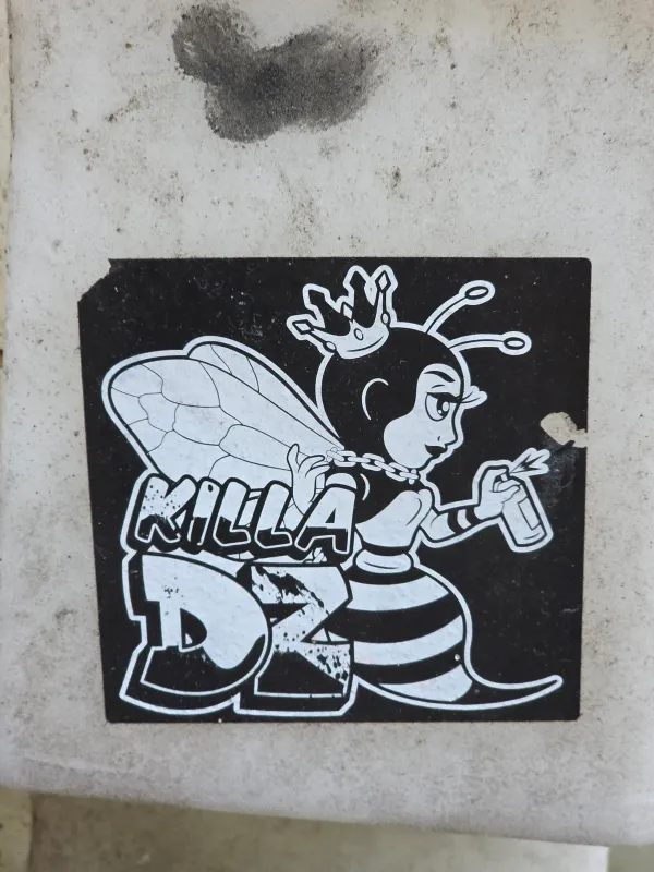 KILLA DZ 여왕벌 원본 사진